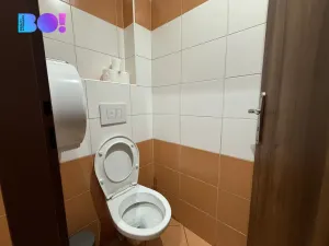 Pronájem obchodního prostoru, Český Těšín, Hlavní třída, 154 m2