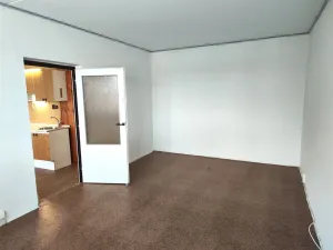 Prodej bytu 1+1, Cheb, Dvořákova, 42 m2