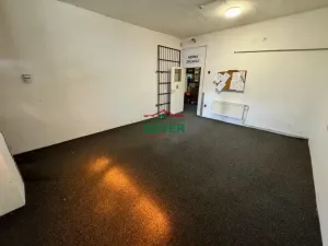Prodej rodinného domu, Horní Jiřetín, Gen. Svobody, 312 m2
