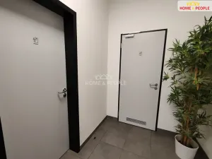 Pronájem skladu, Ostrov, 4400 m2