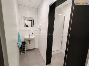 Pronájem skladu, Ostrov, 4400 m2