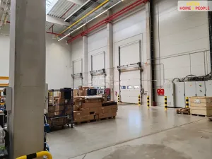 Pronájem skladu, Ostrov, 4400 m2