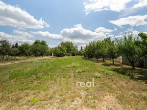 Prodej pozemku pro bydlení, Prušánky, 755 m2