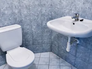 Pronájem bytu 1+kk, Olomouc - Hodolany, Zeyerova, 17 m2
