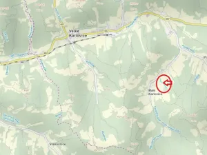 Prodej lesa, Velké Karlovice, 6375 m2