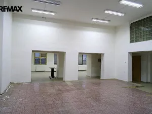 Prodej komerčního pozemku, Hořice, Havlíčkova, 4246 m2