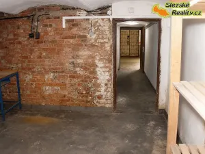 Pronájem skladu, Ostrava, 160 m2