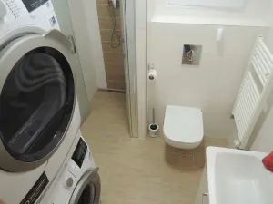 Pronájem bytu 1+kk, Brno, Hrázka, 37 m2