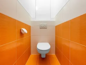 Pronájem bytu 2+kk, Praha - Holešovice, Na Maninách, 55 m2