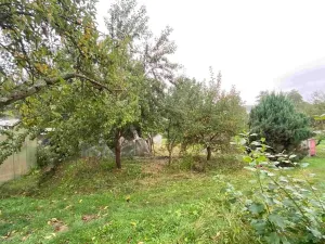 Dražba zahrady, Střížovice, 194 m2