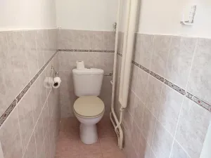 Pronájem bytu 2+1, Ostrava, Dalimilova, 55 m2