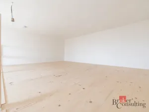 Prodej bytu 2+kk, Ostrava - Přívoz, Palackého, 51 m2