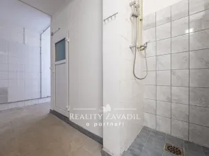 Prodej rodinného domu, Koleč, 940 m2