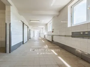 Prodej rodinného domu, Koleč, 940 m2