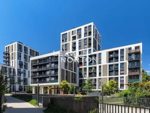 Prodej bytu 2+kk, Praha - Žižkov, Olgy Havlové, 53 m2