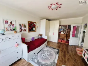 Prodej bytu 3+1, Litvínov - Horní Litvínov, Tylova, 78 m2