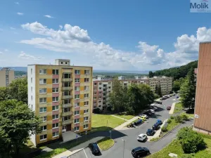 Prodej bytu 3+1, Litvínov - Horní Litvínov, Tylova, 78 m2