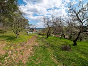 Prodej pozemku pro bydlení, Sentice, 9810 m2