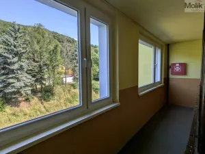 Pronájem bytu 3+1, Krupka - Maršov, Dukelských hrdinů, 68 m2