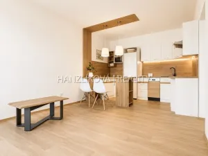 Prodej bytu 2+kk, České Budějovice - České Budějovice 2, Dlouhá, 45 m2