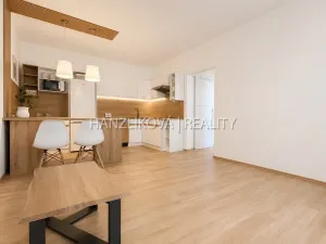 Prodej bytu 2+kk, České Budějovice - České Budějovice 2, Dlouhá, 45 m2