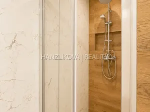 Prodej bytu 2+kk, České Budějovice - České Budějovice 2, Dlouhá, 45 m2