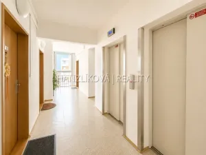 Prodej bytu 2+kk, České Budějovice - České Budějovice 2, Dlouhá, 45 m2