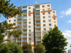 Prodej bytu 2+kk, České Budějovice - České Budějovice 2, Dlouhá, 45 m2