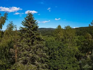 Prodej bytu 2+1, Bayerisch Eisenstein, Německo, Brennesstraße, 55 m2