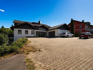 Prodej bytu 2+1, Bayerisch Eisenstein, Německo, Brennesstraße, 55 m2