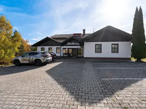 Prodej bytu 1+1, Bayerisch Eisenstein, Německo, Brennesstraße, 37 m2