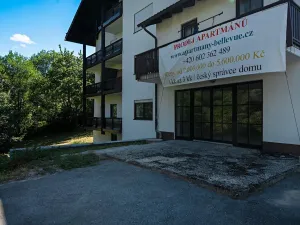 Prodej bytu 2+kk, Bayerisch Eisenstein, Německo, Brennesstraße, 58 m2