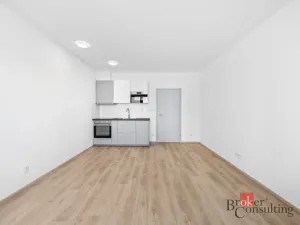 Pronájem bytu 1+kk, Plzeň - Jižní Předměstí, Železná, 33 m2