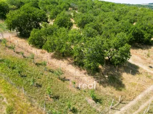 Prodej pozemku, Němčičky, 358 m2
