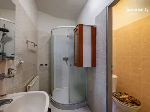 Prodej restaurace, Velká Hleďsebe, Havlíčkova, 229 m2