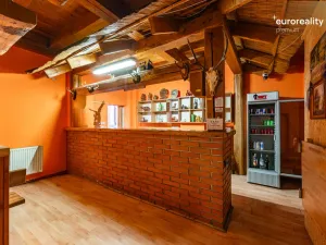 Prodej restaurace, Velká Hleďsebe, Havlíčkova, 229 m2