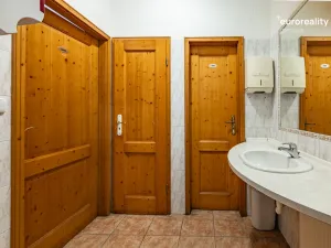 Prodej restaurace, Velká Hleďsebe, Havlíčkova, 229 m2