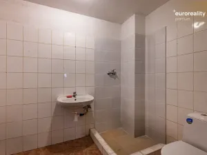Prodej restaurace, Velká Hleďsebe, Havlíčkova, 229 m2
