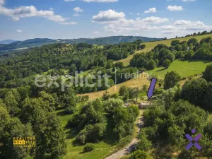 Prodej pozemku pro bydlení, Žítková, 5708 m2