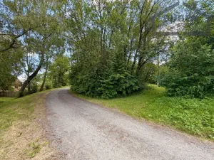 Prodej pozemku pro bydlení, Planá - Kříženec, 4165 m2