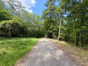 Prodej pozemku pro bydlení, Planá - Kříženec, 4165 m2