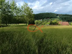 Prodej pozemku pro bydlení, Valašská Bystřice, 700 m2
