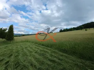 Prodej pozemku pro bydlení, Valašská Bystřice, 700 m2