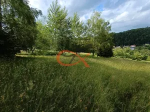 Prodej pozemku pro bydlení, Valašská Bystřice, 700 m2