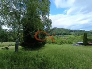 Prodej pozemku pro bydlení, Valašská Bystřice, 700 m2