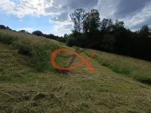 Prodej pozemku pro bydlení, Valašská Bystřice, 700 m2