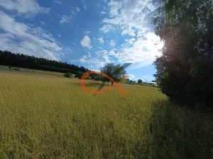 Prodej pozemku pro bydlení, Valašská Bystřice, 700 m2