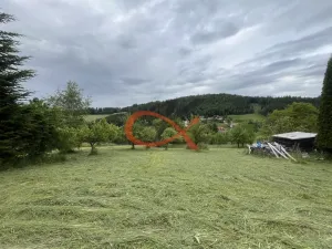 Prodej pozemku pro bydlení, Valašská Bystřice, 700 m2