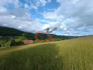 Prodej pozemku pro bydlení, Valašská Bystřice, 700 m2