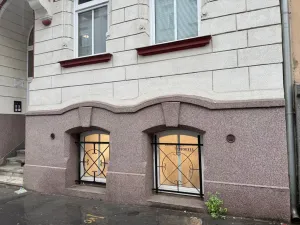 Pronájem komerční nemovitosti, Ústí nad Labem - Ústí nad Labem-centrum, Thomayerova, 50 m2